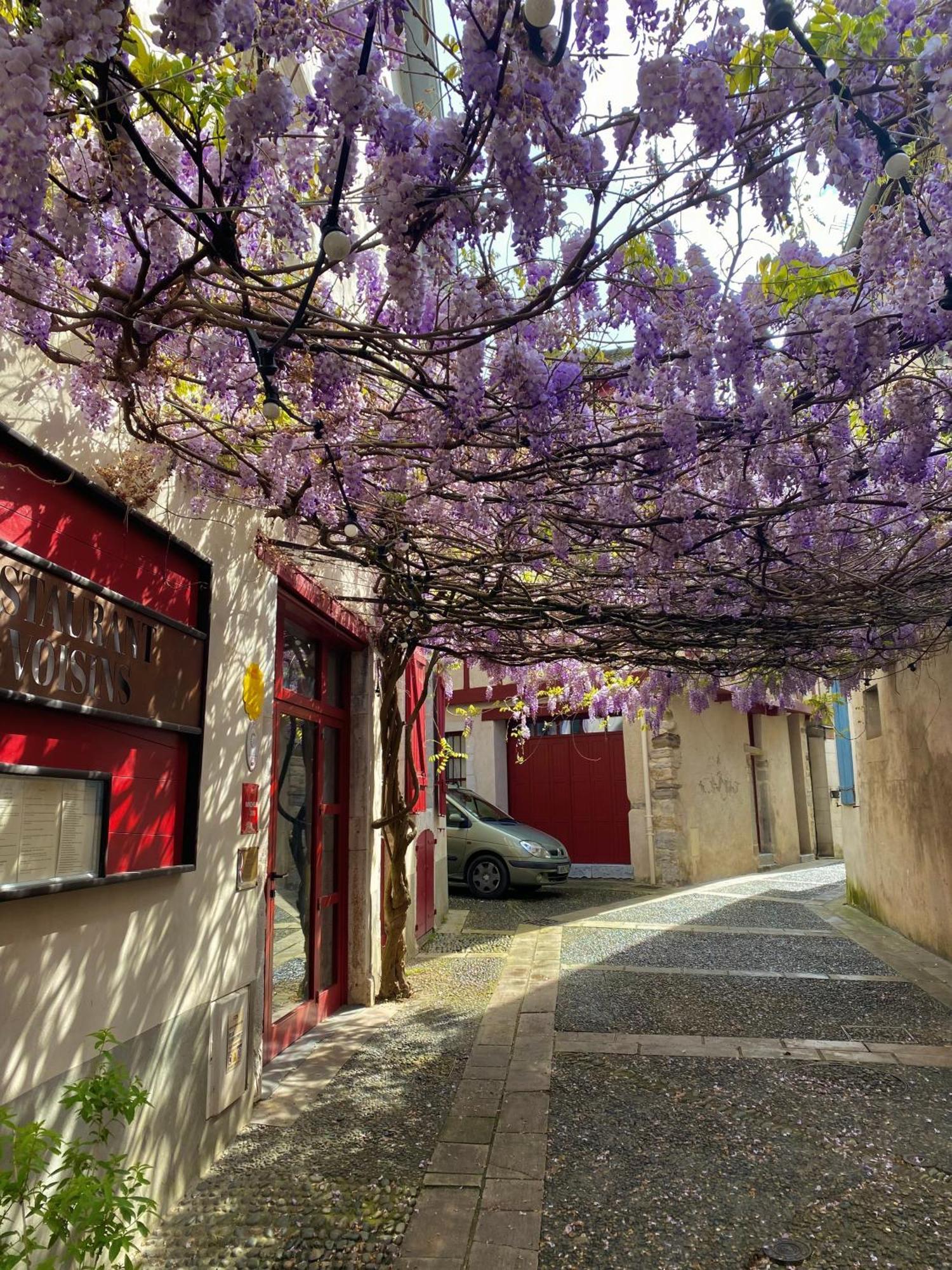 Agreable Petit Gite Avec Piscine Et Jardinet Salies-de-Béarn Exterior foto